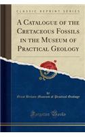 A Catalogue of the Cretaceous Fossils in the Museum of Practical Geology (Classic Reprint)