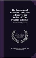 Peacock and Parrot on Their Tour to Discover the Author of 