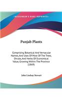 Punjab Plants