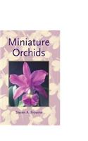 Miniature Orchids