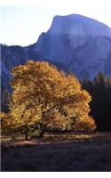 Half Dome and an English Elm Tree in Yosemite National Park Journal: 150 Page Lined Notebook/Diary