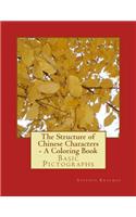 The Structure of Chinese Characters - A Coloring Book