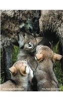 Wolves of Wolf Park Fiona, Aspen, Máni & Sparrow Notebook