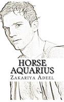 Horse Aquarius: The Combined Astrology Series
