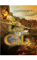 Lost in the Gila