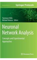 Neuronal Network Analysis