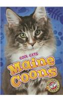 Maine Coons