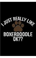 I Just Really Like Boxerdoodle Ok?