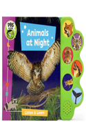 Animals at Night