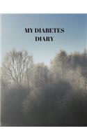 My Diabetes Diary: 90 PAGES OF 8.5 x 11 INCH DAILY RECORD OF YOUR DIABETES CONDITION