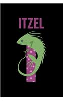 Itzel: Journal (Diary, Notebook) Personalized Custom Name Alphabet Iguana Birthday Gift for Girls