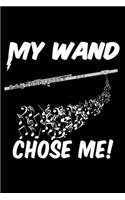 My Wand Chose Me