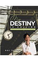 My Destiny Is Calling: A 6-Week Interactive Workbook