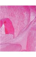 Rose Notebook Large Size 8.5 x 11 Ruled 150 Pages Softcover