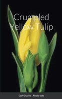 Crumpled Yellow Tulip