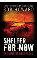 Shelter for Now