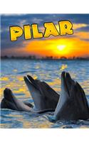 Pilar