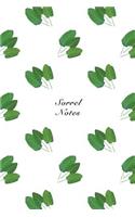 Sorrel Notes