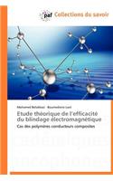 Etude Théorique de L Efficacité Du Blindage Électromagnétique