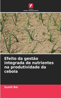 Efeito da gestão integrada de nutrientes na produtividade da cebola