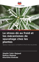 Le stress dû au froid et les mécanismes de sauvetage chez les plantes