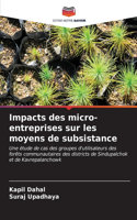 Impacts des micro-entreprises sur les moyens de subsistance