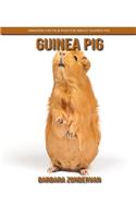Guinea Pig: Amazing Facts & Photos about Guinea Pig