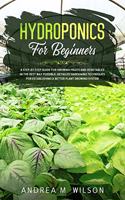 Hydroponics for Beginners