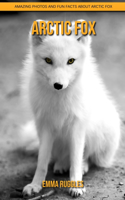 Arctic Fox
