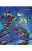 Molecular Biology