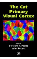 The Cat Primary Visual Cortex