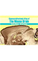 Chemoarchitectonic Atlas of the Mouse Brain
