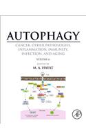 Autophagy: Cancer, Other Pathologies, Inflammation, Immunity, Infection, and Aging