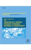 Targeting Cell Survival Pathways to Enhance Response to Chemotherapy