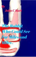 The Rabbit Who Could See For Miles and Miles.