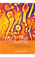 First Life