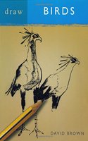 Draw Birds (Draw Books)