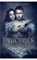 Dracones: Awakening