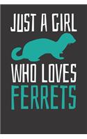 Ferret Notebook
