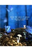 Adopt the Pace of Nature Her Secret Is Patience. Ralph Waldo Emerson