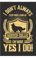 I Don't Always Stop and Look At Border Collie OH Wait, Yes I Do!