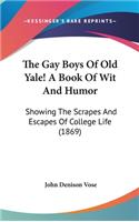 Gay Boys Of Old Yale! A Book Of Wit And Humor