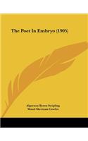 The Poet In Embryo (1905)