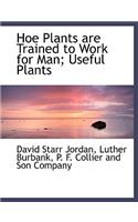 Hoe Plants Are Trained to Work for Man; Useful Plants