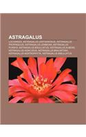 Astragalus