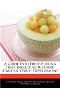 A Guide Into Fruit-Bearing Trees Including Ripening Stage and Fruit Development
