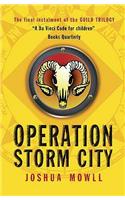 Operation Storm City