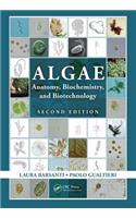 Algae