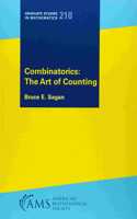Combinatorics: the Art of Counting: (Graduate Studies in Mathematics)