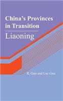 China's Provinces in Transition